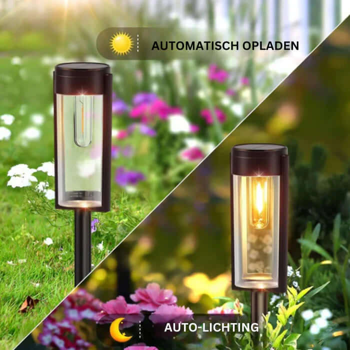 Soldrevne Havebelysning, 6-pak LED Udendørs Sti