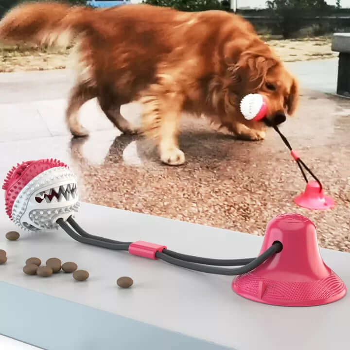 Robust Hundetræklegetøj med Sugekop til Leg