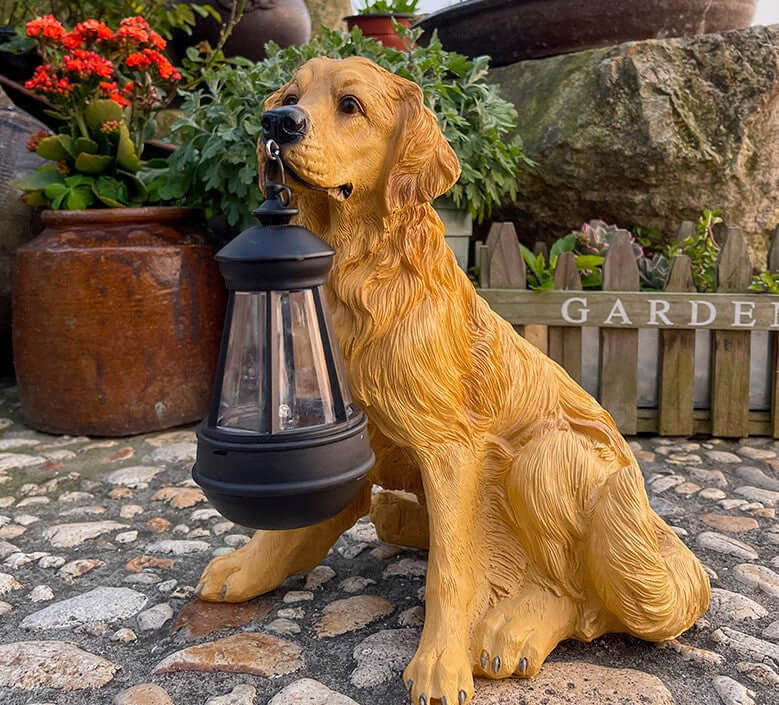 Hunde-solarlampen til din have | LED udendørslys