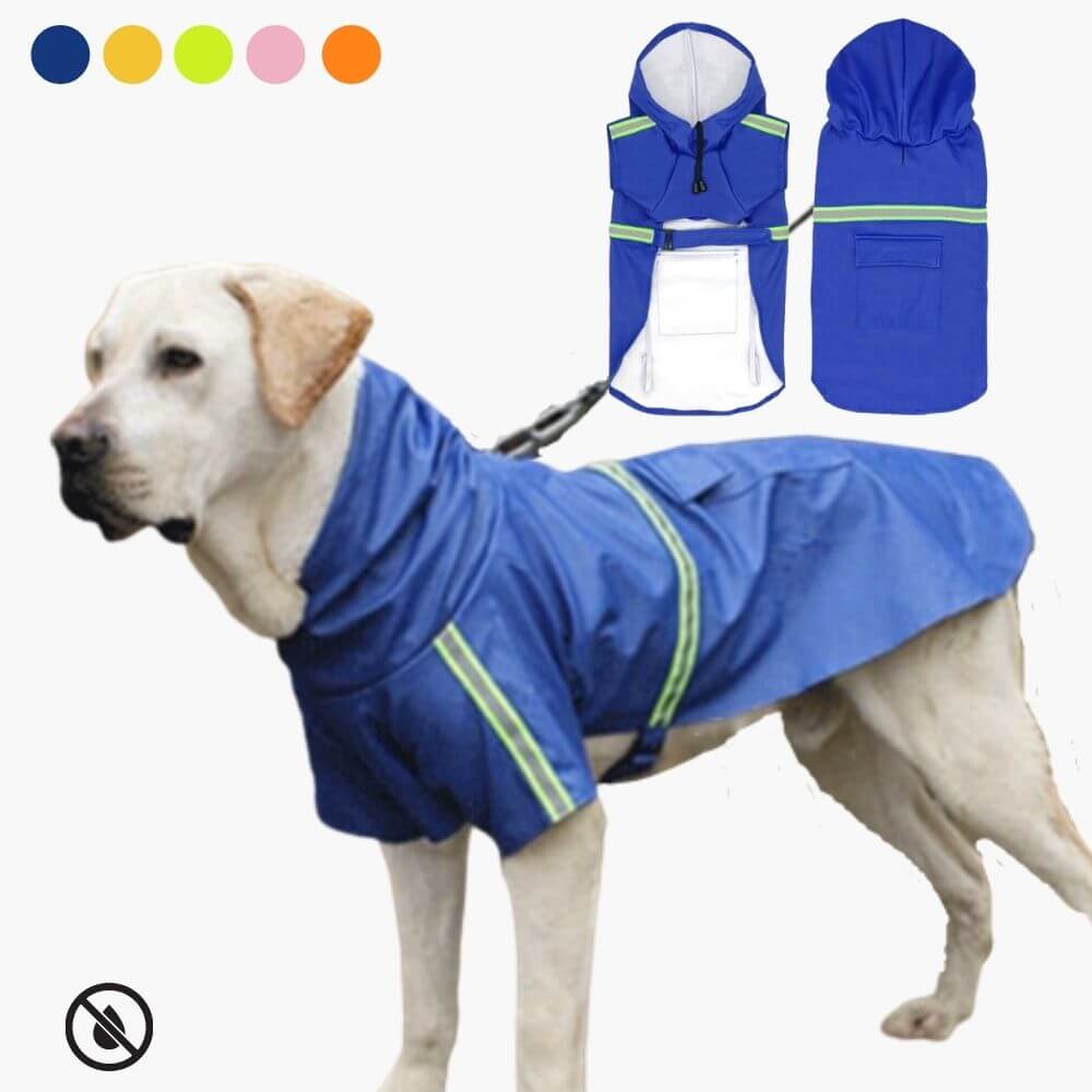 Vandtæt hundejakke til al slags vejr