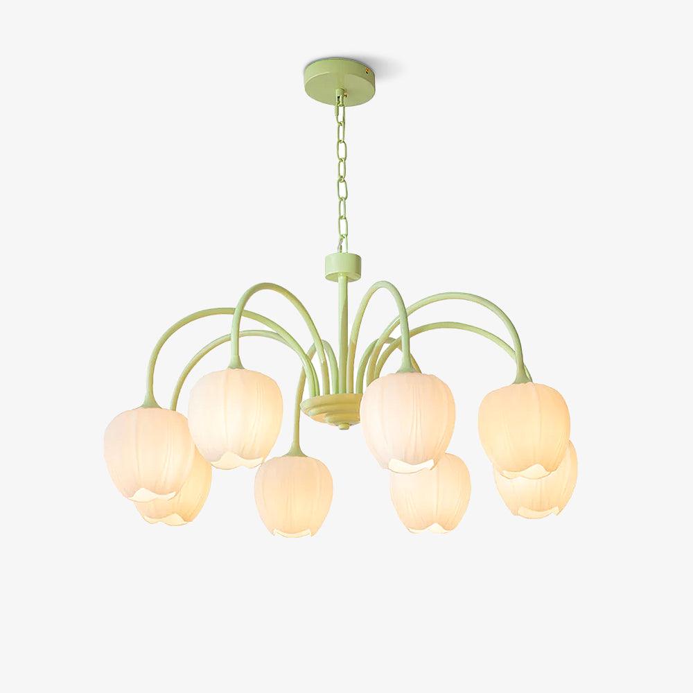 Tulipan Matcha Loftkrone - 5-8 Pærer