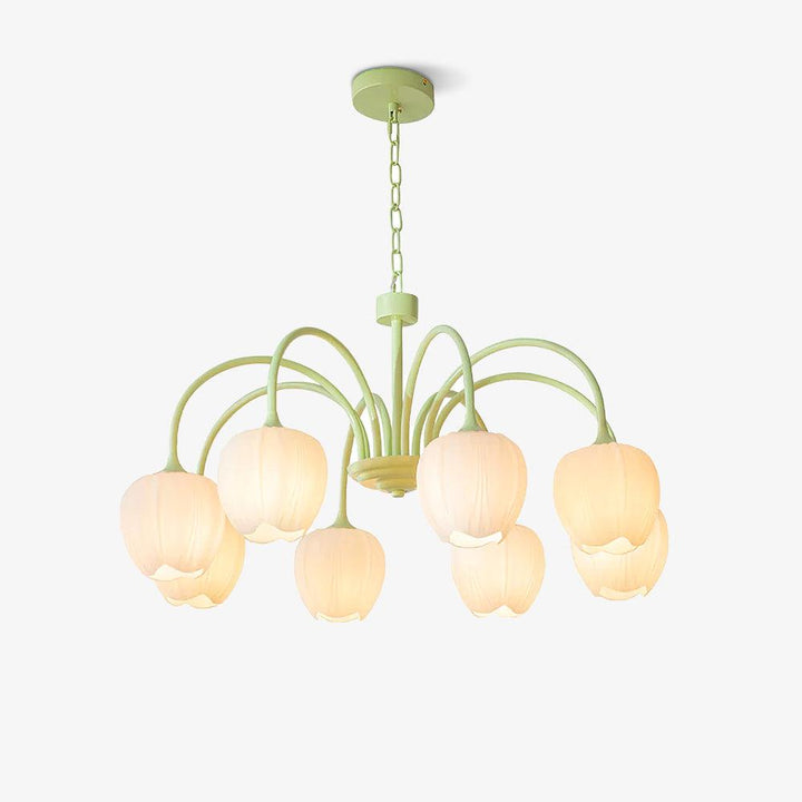 Tulipan Matcha Loftkrone - 5-8 Pærer