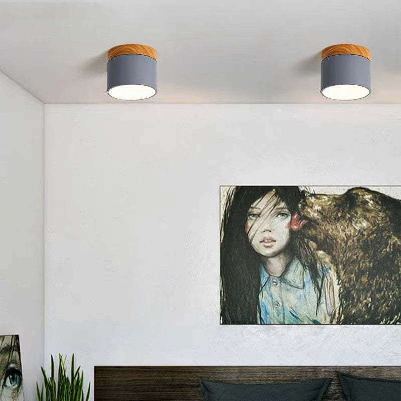 Moderne LED Loftslys i Morandi Stil