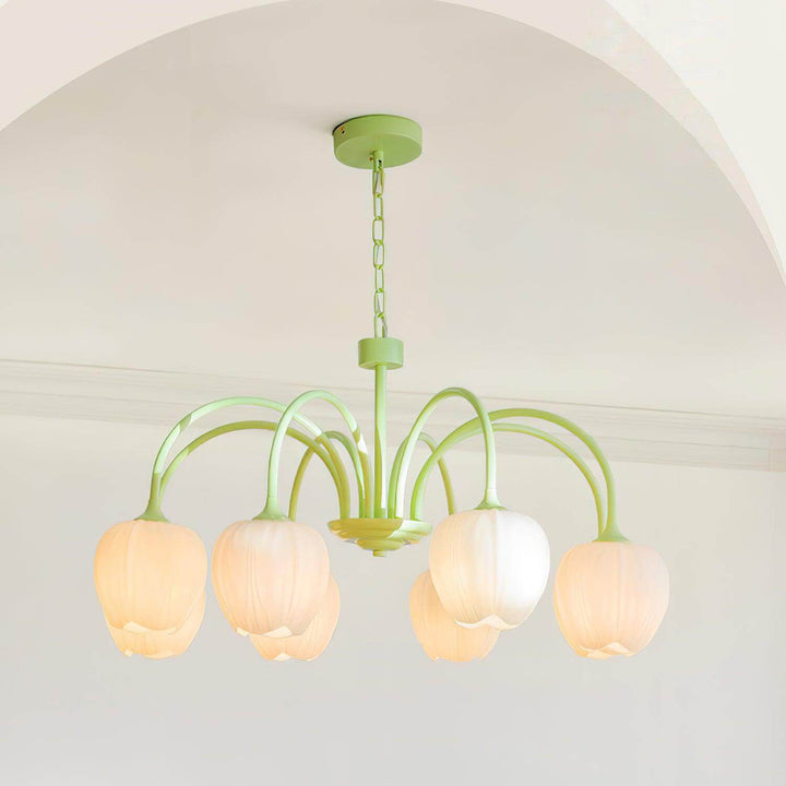 Tulipan Matcha Loftkrone - 5-8 Pærer