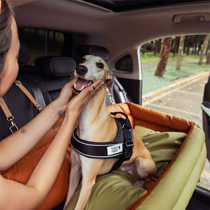 Deluxe hundeautostol i kunstlæder, tofarvet, rummelig, til mellemstore til store hunde, med plys og skridsikker bund