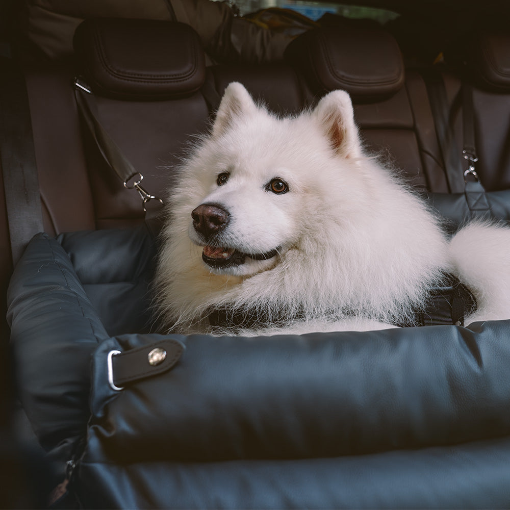 Deluxe hundeautostol i kunstlæder, tofarvet, rummelig, til mellemstore til store hunde, med plys og skridsikker bund