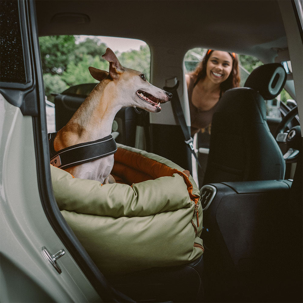 "Deluxe Hundeautositz aus Kunstleder, zweifarbig, geräumig, für mittelgroße bis große Hunde, mit Plüsch und rutschfestem Bode