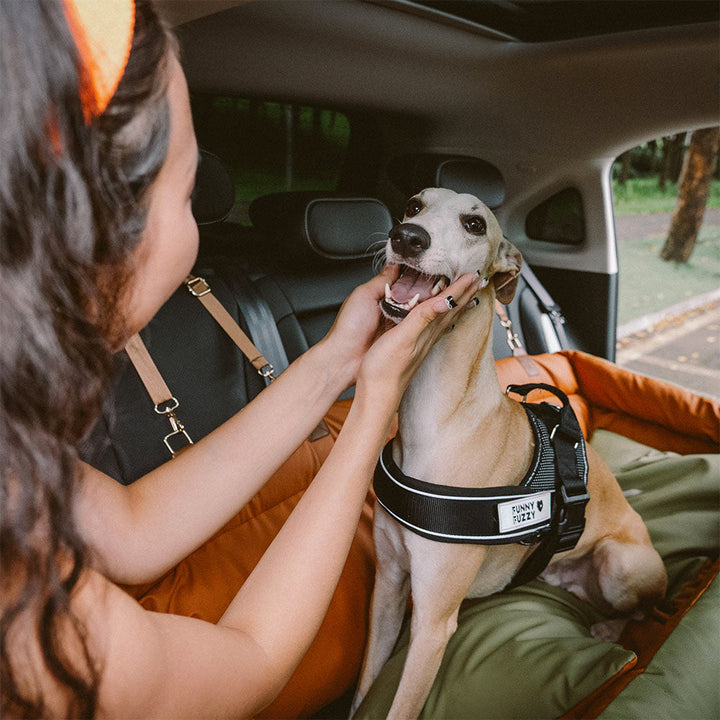 "Deluxe Hundeautositz aus Kunstleder, zweifarbig, geräumig, für mittelgroße bis große Hunde, mit Plüsch und rutschfestem Bode