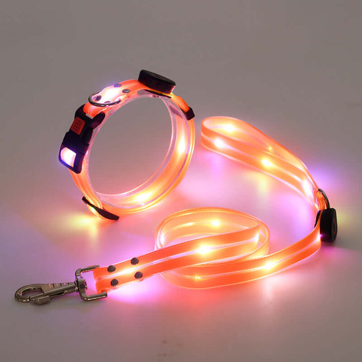 LED Hundehalsbånd med Snor - Sikkert & Synligt