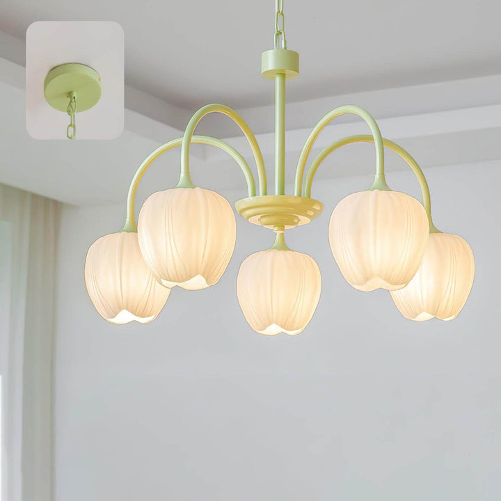 Tulipan Matcha Loftkrone - 5-8 Pærer