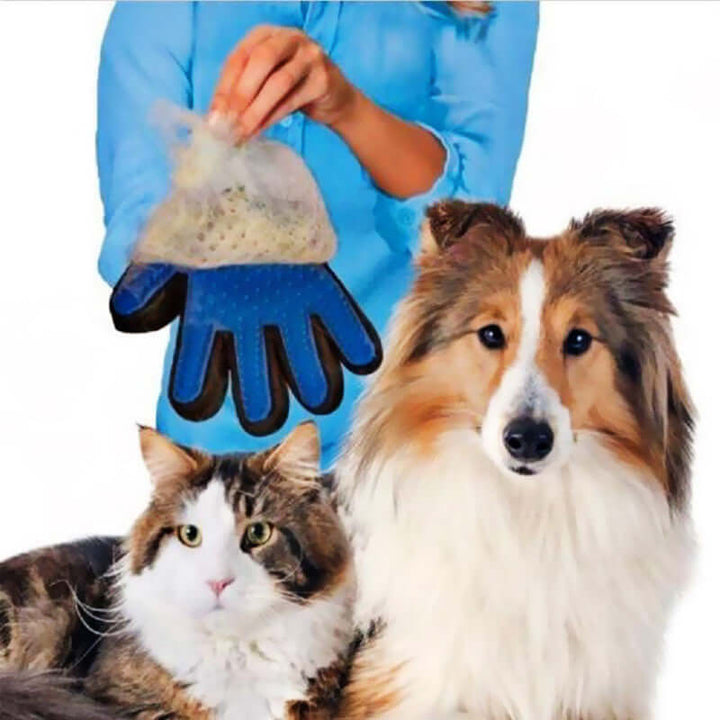 Dyrehårfjernelseshandske til hunde og katte