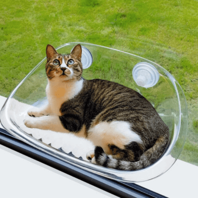 Kat KittyView Vindueshylde