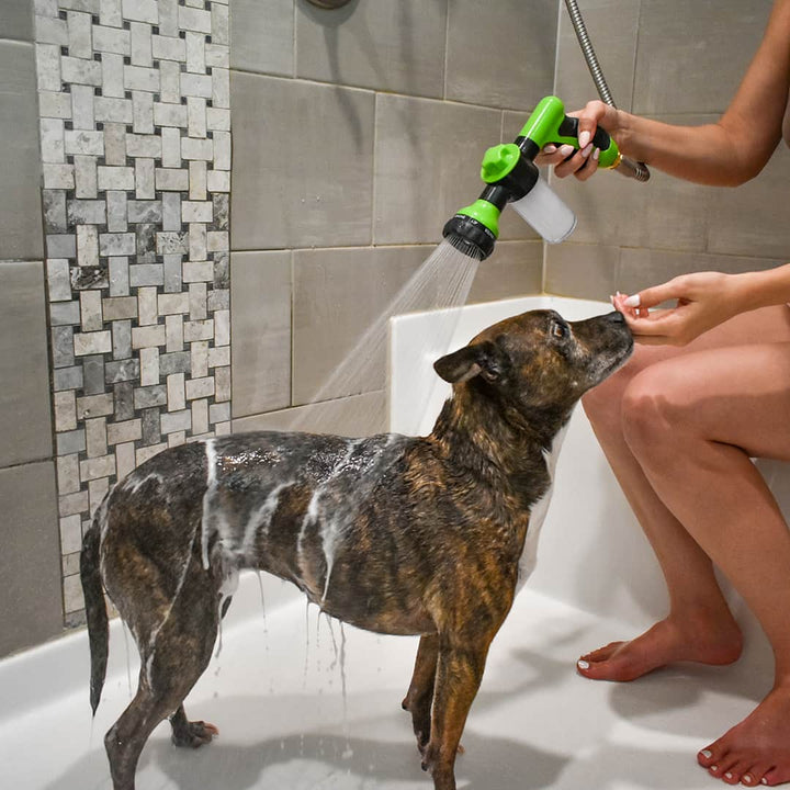 Hundeduschhoved til hurtig og nem vask