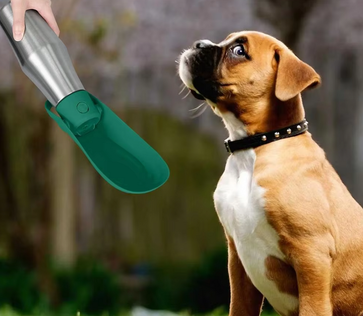 Vandflaske i rustfrit stål til hunde med foldbar skål, perfekt til rejser og udendørs brug.