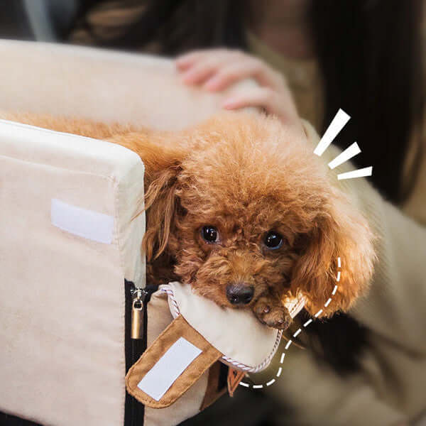 Hunde Rejseseng Bilsæde Komfortboks til Små Hunde