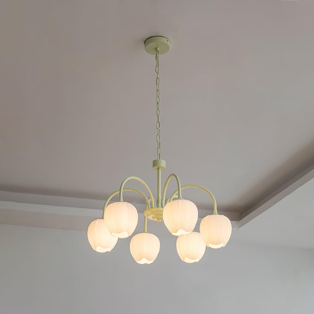 Tulipan Matcha Loftkrone - 5-8 Pærer