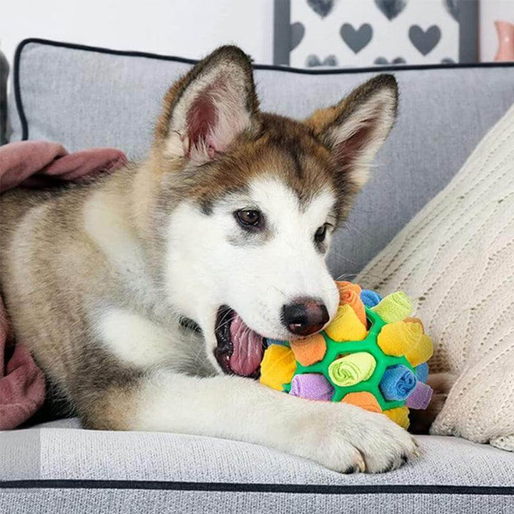 Intellektuelt legetøj til hunde: Snusetæppe til udvikling og leg