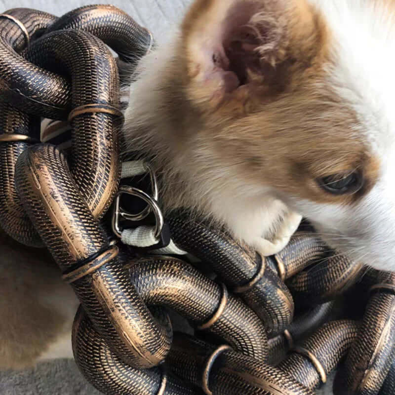 Hundesnor i kædelook - robust og sikker