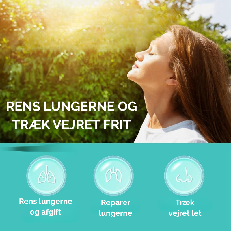 Illustration af rene lunger efter brug af lungerenser. Få bedre vejrtrækning, mindsk slim og hoste naturligt.