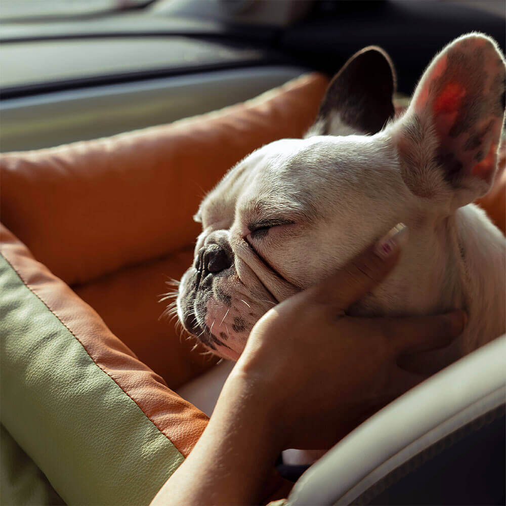 Eleganter Kunstleder-Hundeautositz in Schwarz, komfortabel mit Sicherheitsleinen und Polsterung, stilvoll für Reisen.