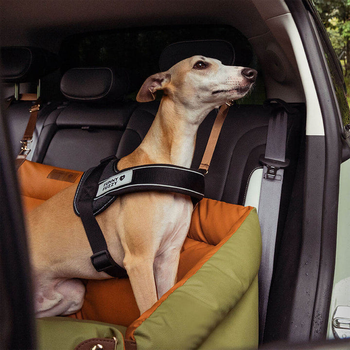 Eleganter Kunstleder-Hundeautositz in Schwarz, komfortabel mit Sicherheitsleinen und Polsterung, stilvoll für Reisen.