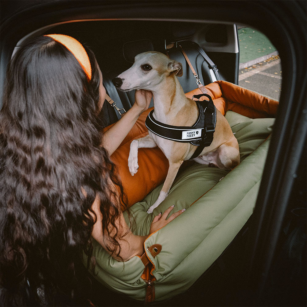 Eleganter Kunstleder-Hundeautositz in Schwarz, komfortabel mit Sicherheitsleinen und Polsterung, stilvoll für Reisen.
