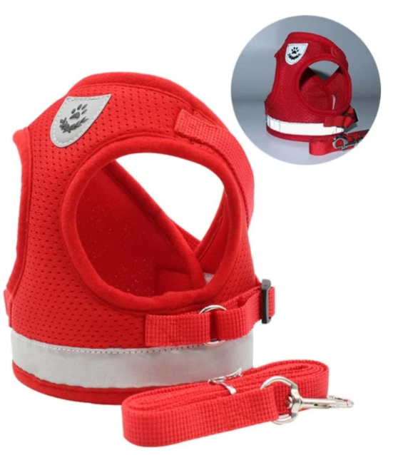 Ergonomisk kattesel med line i blå, til sikker og behagelig gåtur, åndbar og justerbar.