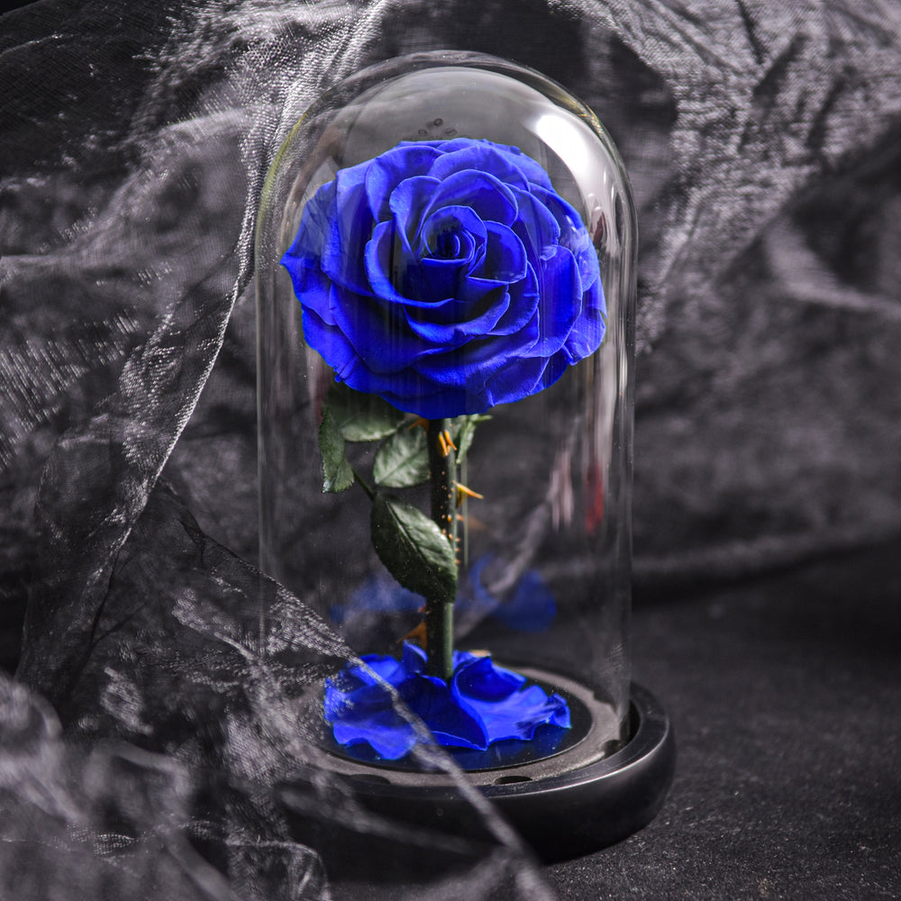 Romantisk evighedsrose i glaskuppel med LED-lys, den perfekte gave til kvinder på Valentinsdag eller Mors dag.