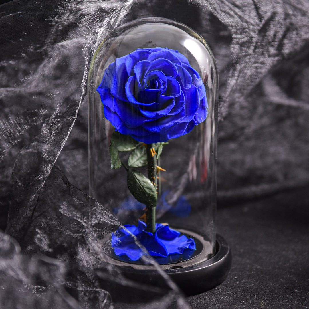 Romantisk evighedsrose i glaskuppel med LED-lys, den perfekte gave til kvinder på Valentinsdag eller Mors dag.