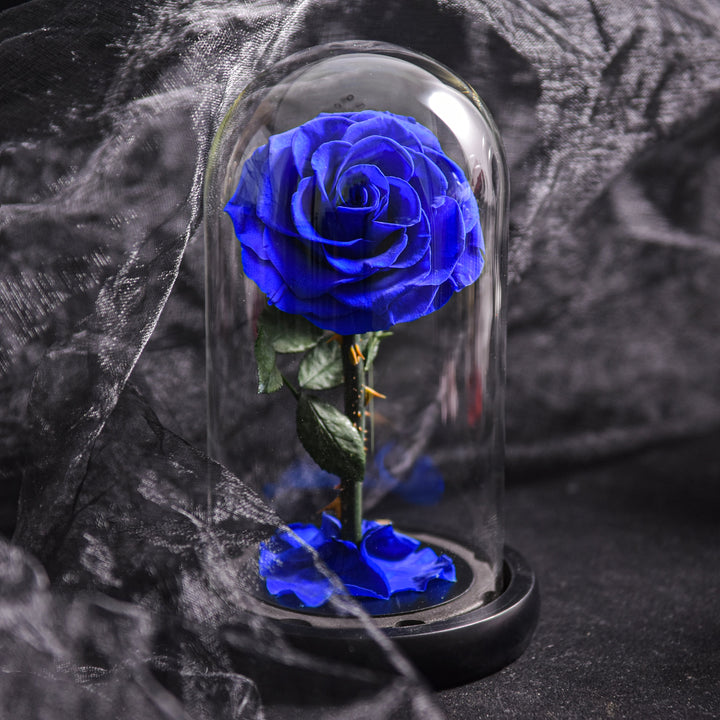 Romantisk evighedsrose i glaskuppel med LED-lys, den perfekte gave til kvinder på Valentinsdag eller Mors dag.