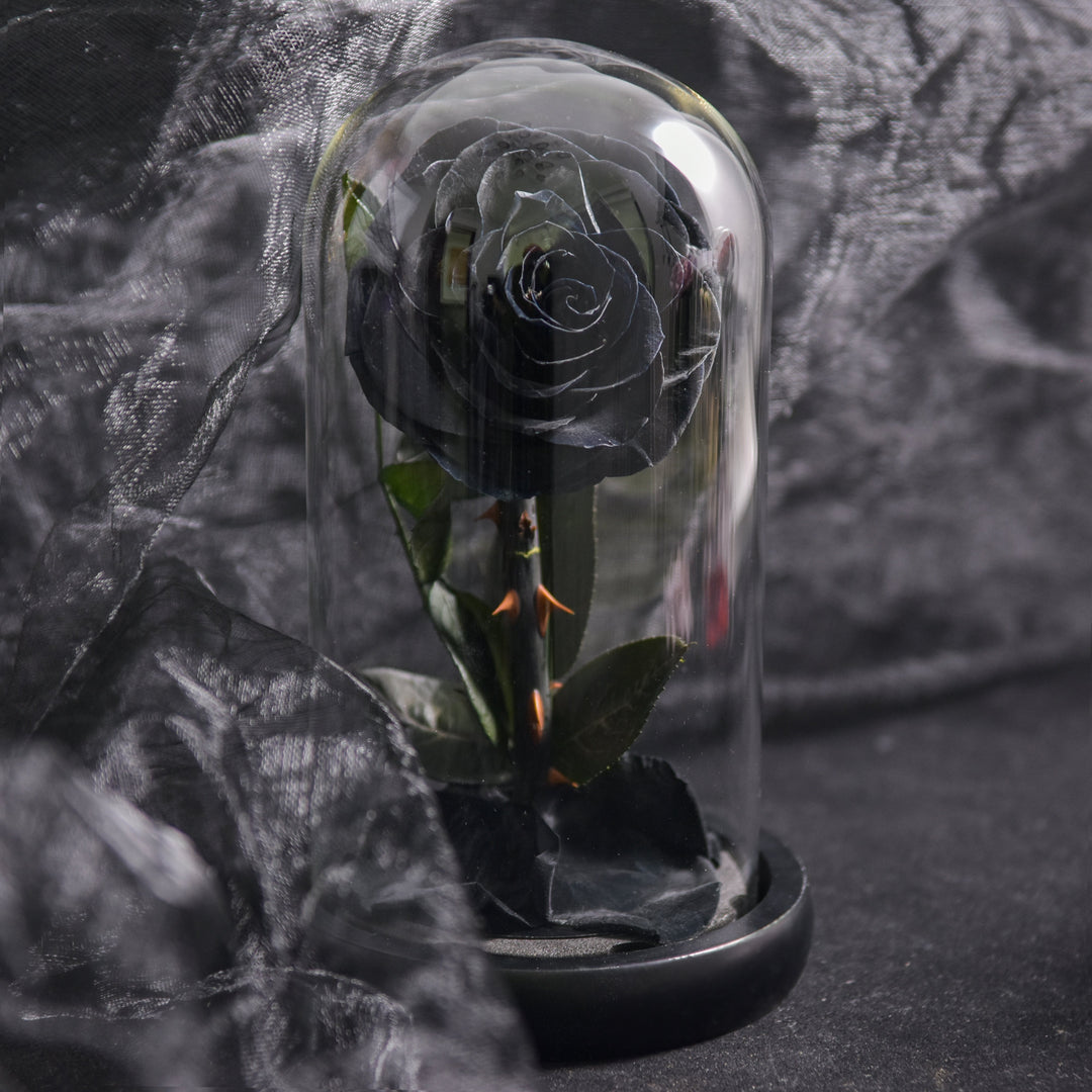 Elegant evighedsrose i glaskuppel med stemningsfuldt LED-lys. Perfekt som gave og smuk boligindretning.
