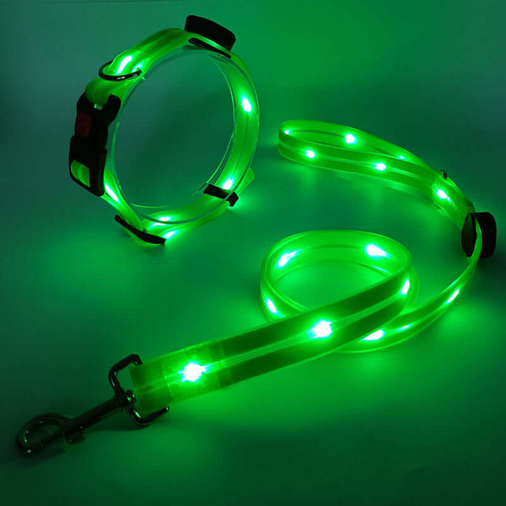 LED Hundehalsbånd med Snor - Sikkert & Synligt