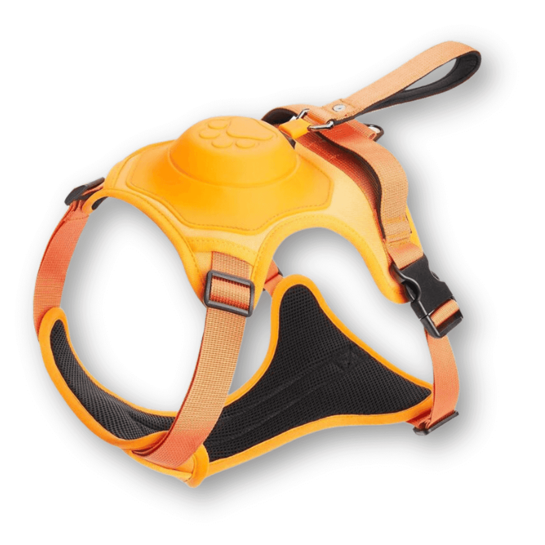 Hundesele med FlexiLead line