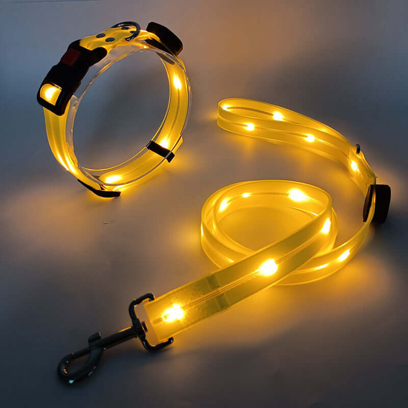 LED Hundehalsbånd med Snor - Sikkert & Synligt