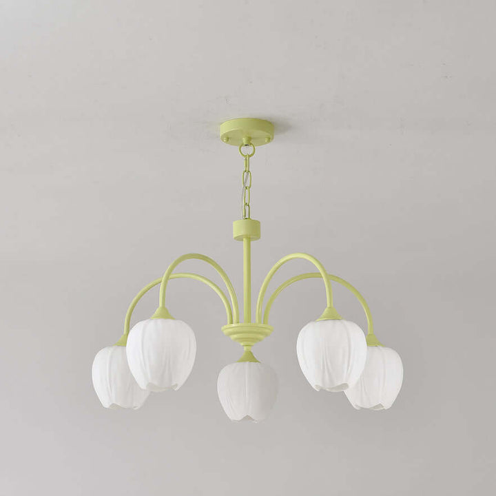 Tulipan Matcha Loftkrone - 5-8 Pærer