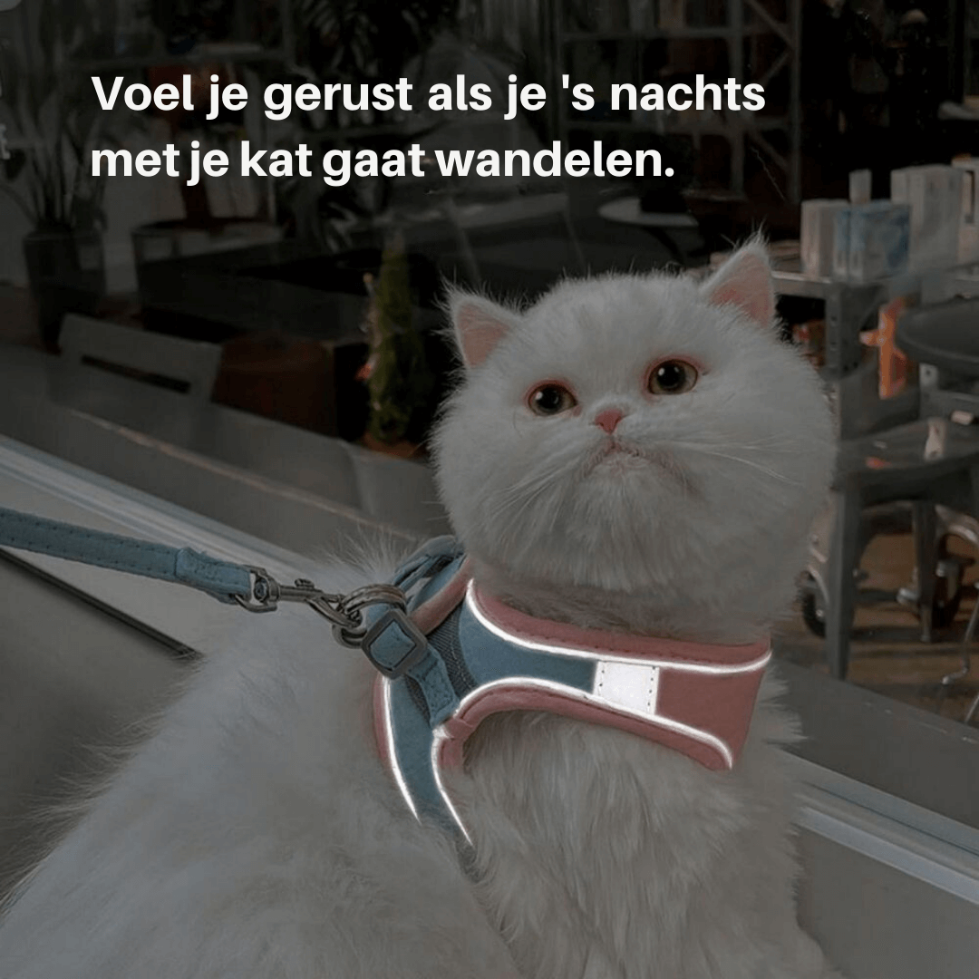 Katsele udslipssikker sele til katte