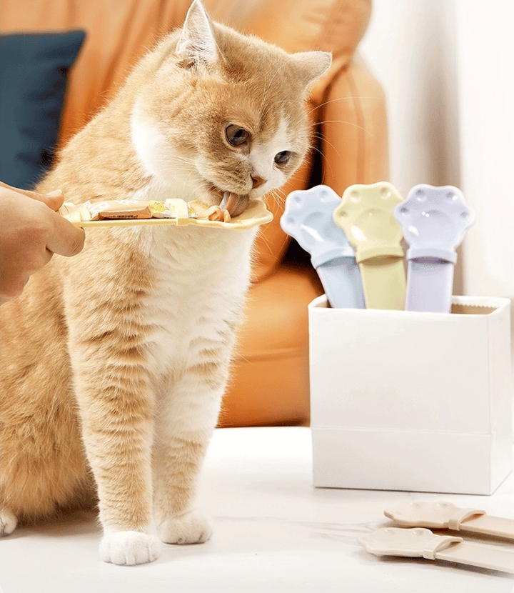 FelineEase spildfri foderske til katte, sikrer ren fodring af kattefoder. Ideelt katteudstyr i PP-plast.