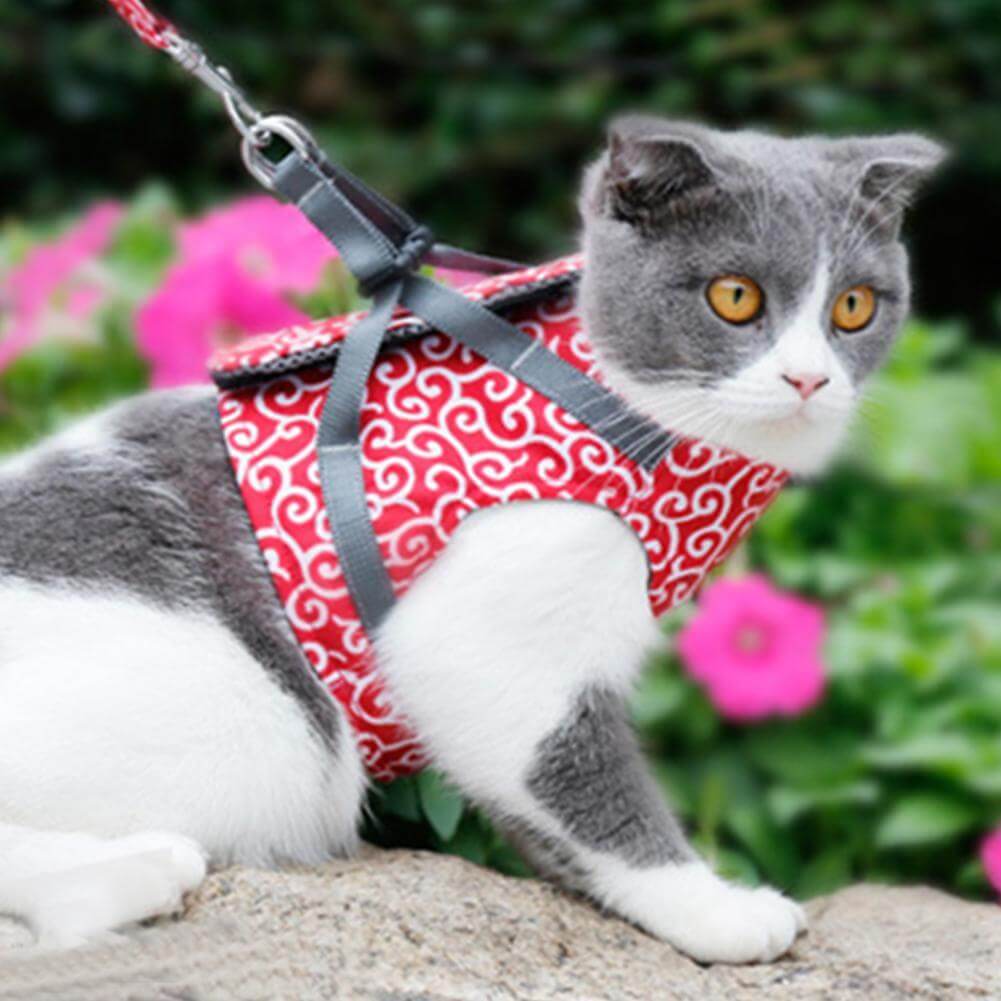 Katteselesæt med flugtsikker sele og justerbar line for sikre og behagelige gåture med katten.
