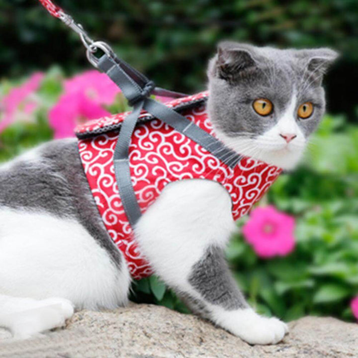 Katteselesæt med flugtsikker sele og justerbar line for sikre og behagelige gåture med katten.