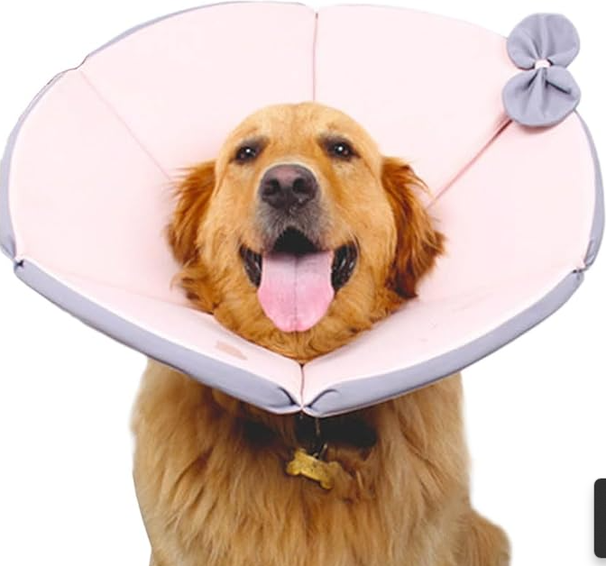 Gul-brun hundehalskrave, blød, stileret, og behagelig for hurtig heling.