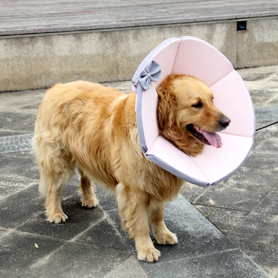Stilfuld gul-brun hundehalskrave, ideel til helingsprocessen eter operation.