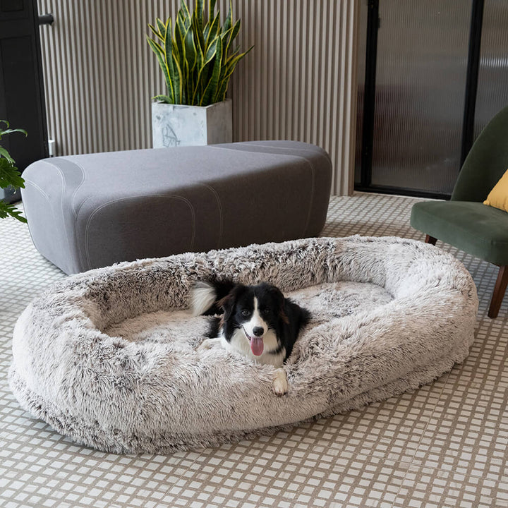 Ortopædisk stor menneske-hundeseng i blød beige med bløde bolstere for maksimal komfort og støtte