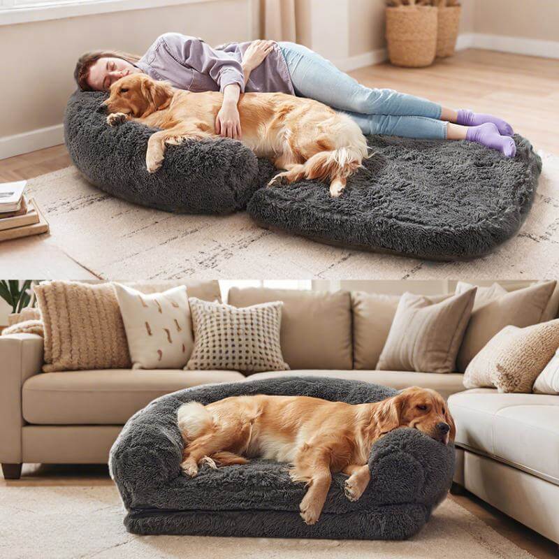 "Großes orthopädisches Mensch-Hund-Bett in flauschigem Beige mit weichen Nackenrollen für maximalen Komfort und Unterstützung