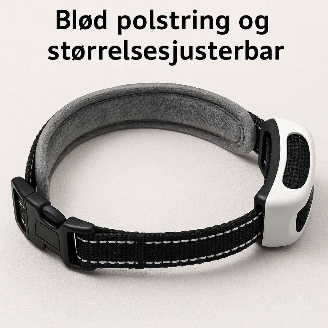 Hundeejer indstiller det trådløse sikringssystem for at definere et sikkert legeområde.