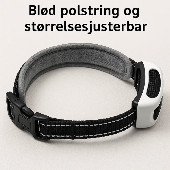 Hundeejer indstiller det trådløse sikringssystem for at definere et sikkert legeområde.