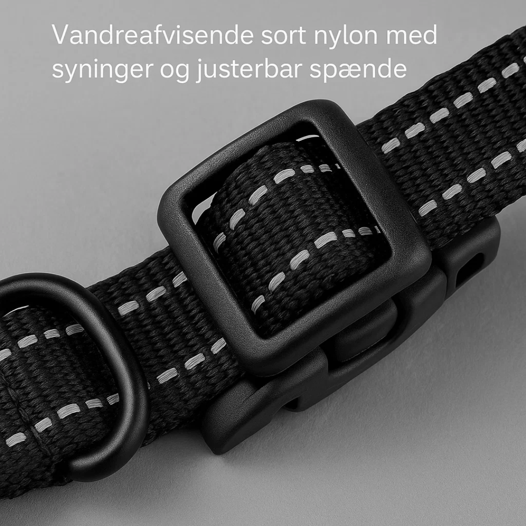 Det trådløse hegn giver din hund frihed til at udforske, mens den forbliver sikker i dit område.