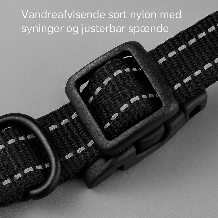 Det trådløse hegn giver din hund frihed til at udforske, mens den forbliver sikker i dit område.