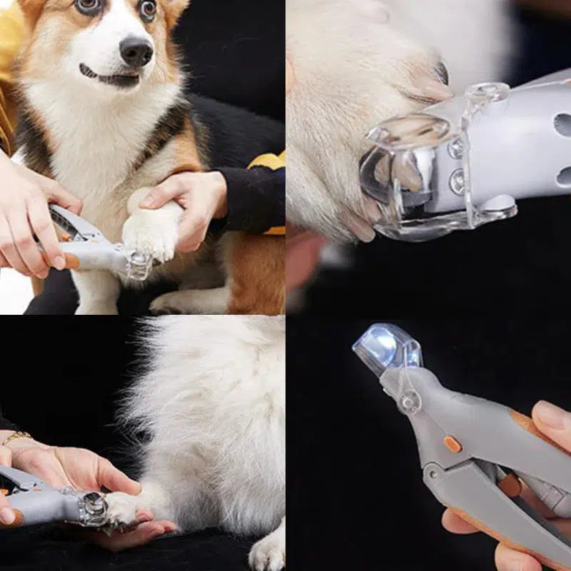 Hundeklo klipper med hurtigsensor, ergonomisk design, rustfrit stål, sikker og smertefri, til præcis klopleje.