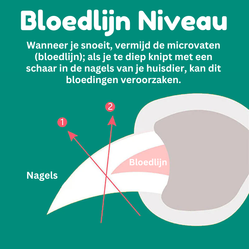 Hundeklo klipper med hurtigsensor, ergonomisk design, rustfrit stål, sikker og smertefri, til præcis klopleje.