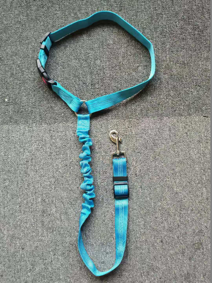 Hundebilsikkerhedssele, justerbar, mange farver, 360-graders karabiner, for sikre og bekvemme bilture.